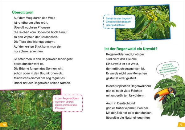 Produktbild: WAS IST WAS Erstes Lesen Doppelband 3.Vulkane/Regenwald