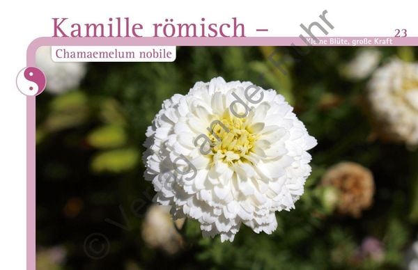 Produktbild: Aromapflege f&uuml;r Menschen mit Demenz