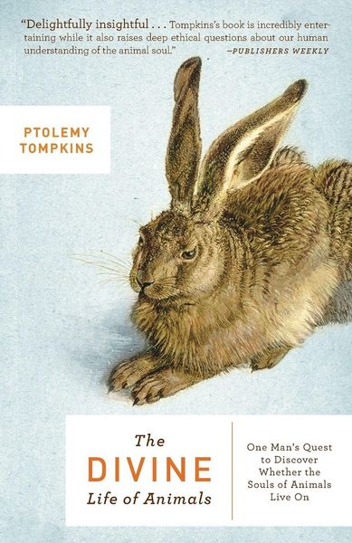 Produktbild: The Divine Life of Animals