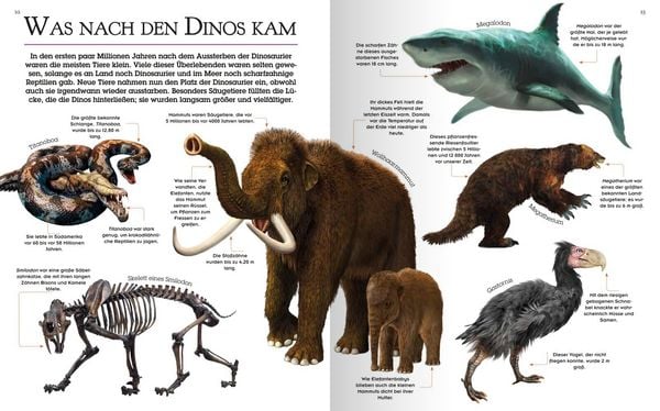 Produktbild: Das gro&szlig;e Dinosaurierbuch