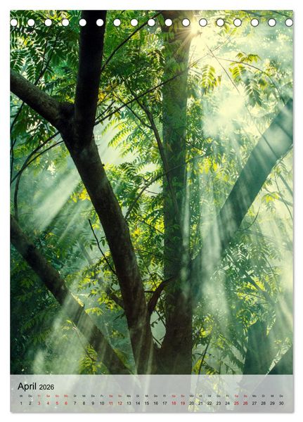 Produktbild: MADAGASKAR: Baobabs, Lemuren, Naturwunder (Tischkalender 2026 DIN A5 hoch), CALVENDO Monatskalender