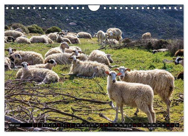 Produktbild: Ostkreta - Zwischen Sitia und Ierapetra (Wandkalender 2027 DIN A4 quer), CALVENDO Monatskalender