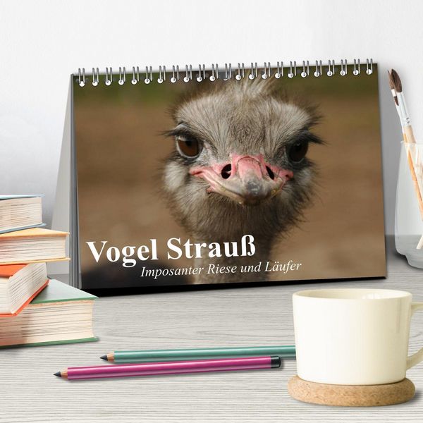 Produktbild: Vogel Strau&szlig;. Imposanter Riese und L&auml;ufer (Tischkalender 2026 DIN A5 quer), CALVENDO Monatskalender