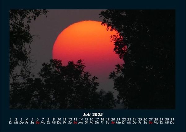 Produktbild: B&auml;ume 2025 Fotokalender DIN A4