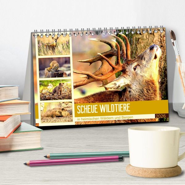 Produktbild: Scheue Wildtiere in heimischen W&auml;ldern und Bergen (Tischkalender 2026 DIN A5 quer), CALVENDO Monatskalender