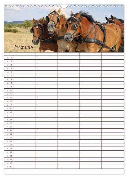 Produktbild: Der Kaltblut-Familienplaner (Wandkalender 2026 DIN A3 hoch), CALVENDO Monatskalender