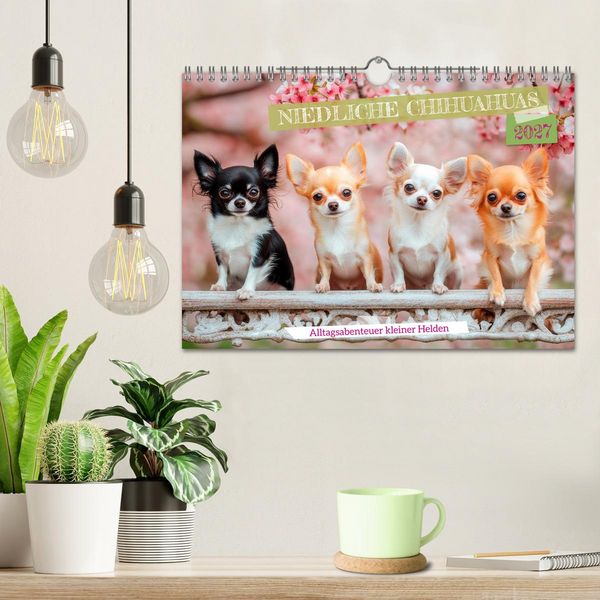 Produktbild: Niedliche Chihuahuas (Wandkalender 2027 DIN A4 quer), CALVENDO Monatskalender