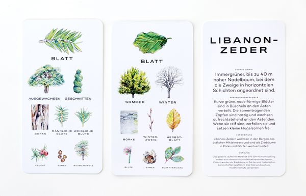 Produktbild: Baum-Wissen