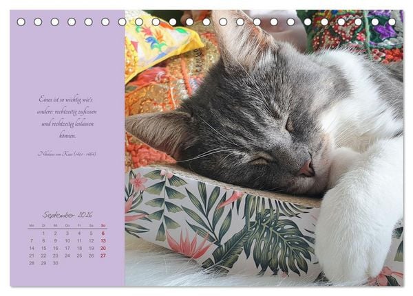 Produktbild: H&auml;ng einfach mal ab (Tischkalender 2026 DIN A5 quer), CALVENDO Monatskalender