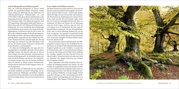 Produktbild: Deutschlands alte Buchenw&auml;lder