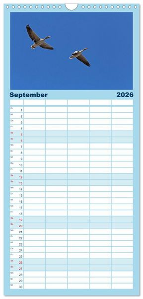 Produktbild: Familienplaner 2026 - V&ouml;gel im Flug - Akrobaten der L&uuml;fte mit 5 Spalten (Wandkalender, 21 x 45 cm) CALVENDO