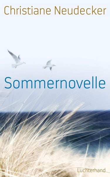 Produktbild: Sommernovelle