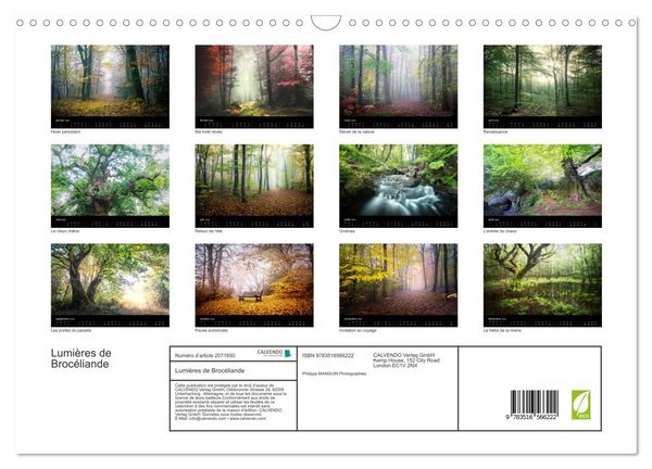 Produktbild: Lumi&egrave;res de Broc&eacute;liande (Calendrier mural 2026 DIN A3 vertical), CALVENDO calendrier mensuel