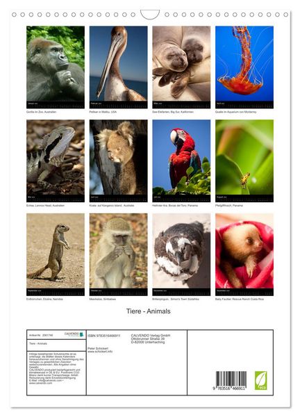 Produktbild: Tiere - Animals (Wandkalender 2026 DIN A3 hoch), CALVENDO Monatskalender
