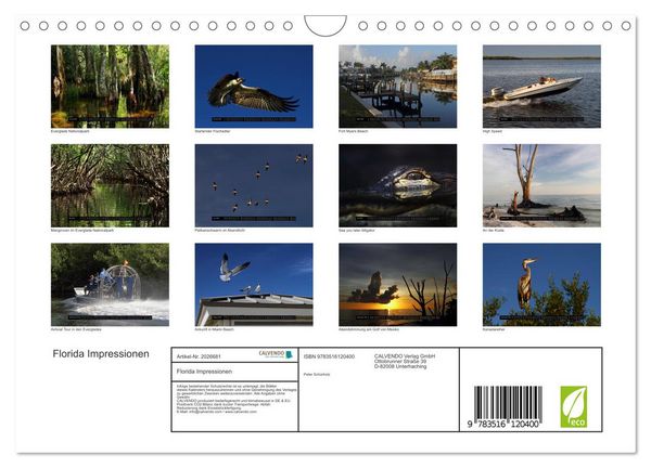 Produktbild: Florida Impressionen (Wandkalender 2026 DIN A4 quer), CALVENDO Monatskalender