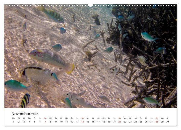 Produktbild: Unterwasserwelt der Malediven II (Wandkalender 2027 DIN A2 quer), CALVENDO Monatskalender