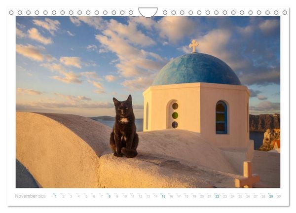 Produktbild: Cats of the Greek Islands (Wall Calendar 2026 DIN A4 landscape), CALVENDO 12 Month Wall Calendar