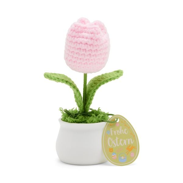 Produktbild: H&auml;kelblume, sortiert - 1 St&uuml;ck