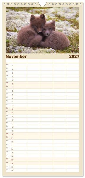 Produktbild: Familienplaner 2027 - Polarfuchs-Welpen mit 5 Spalten (Wandkalender, 21 x 45 cm) CALVENDO