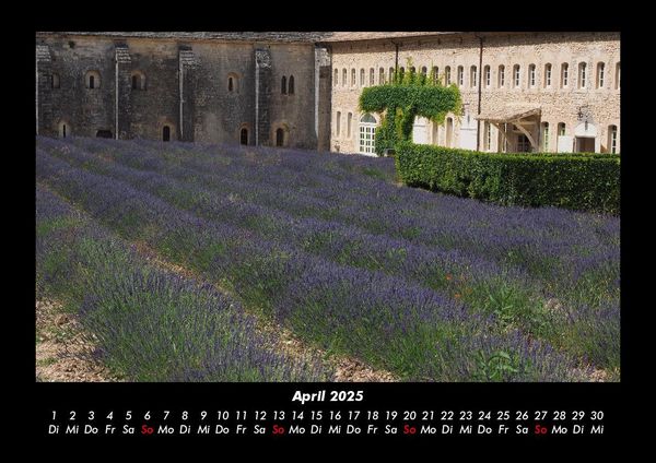 Produktbild: Blumenkalender 2025 Fotokalender DIN A3