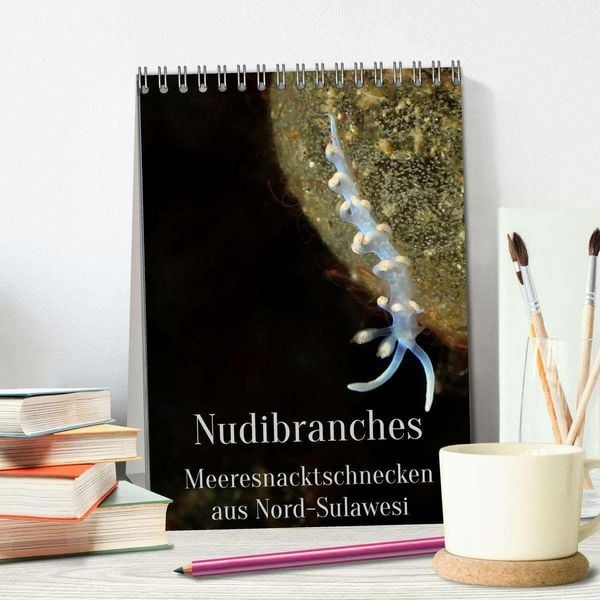 Produktbild: Nudibranches Meeresnacktschnecken aus Nord-Sulawesi (Tischkalender 2027 DIN A5 hoch), CALVENDO Monatskalender