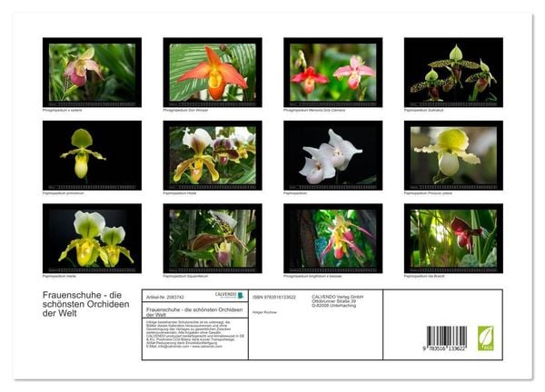Produktbild: Frauenschuhe - die sch&ouml;nsten Orchideen der Welt (Wandkalender 2026 DIN A3 quer), CALVENDO Monatskalender