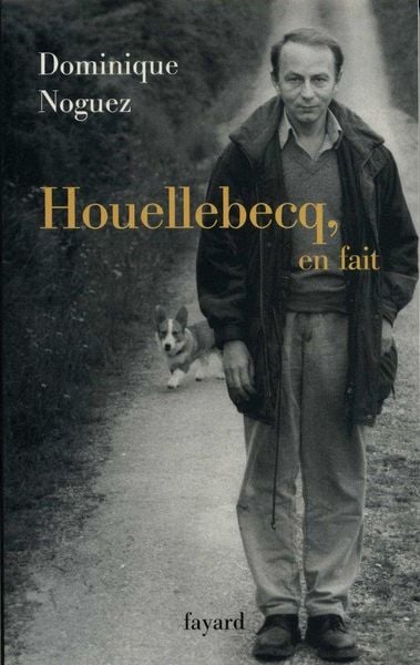 Produktbild: Houellebecq, en fait