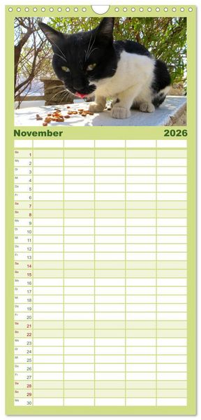 Produktbild: Familienplaner 2026 - SAMTPFOTEN "fellnah" mit 5 Spalten (Wandkalender, 21 x 45 cm) CALVENDO