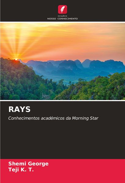 Produktbild: RAYS