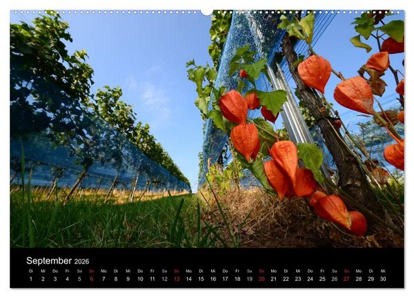 Produktbild: W.EINBLICK (Wandkalender 2026 DIN A2 quer), CALVENDO Monatskalender