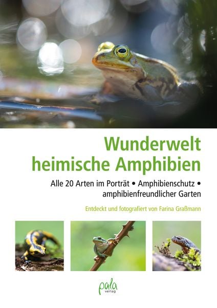 Produktbild: Wunderwelt heimische Amphibien