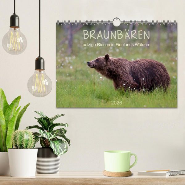 Produktbild: Braunb&auml;ren - pelzige Riesen in Finnlands W&auml;ldern (Wandkalender 2026 DIN A4 quer), CALVENDO Monatskalender
