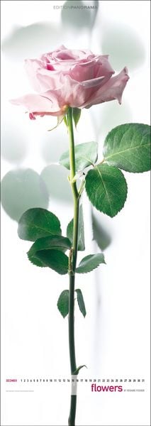 Produktbild: Flowers