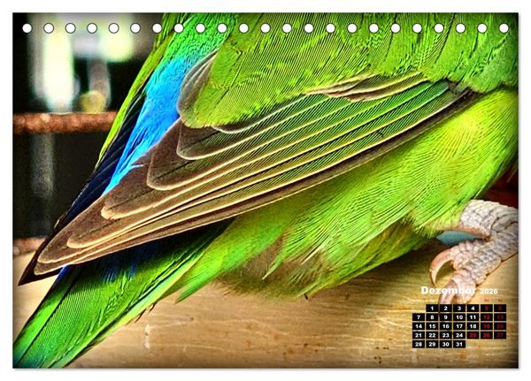 Produktbild: Die Unzertrennlichen (Tischkalender 2026 DIN A5 quer), CALVENDO Monatskalender