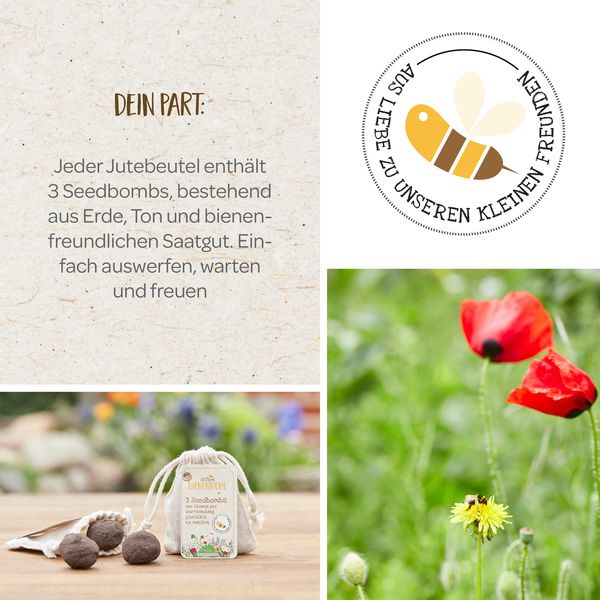 Produktbild: Bienenwohl 3er Seedbombs
