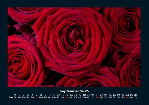 Produktbild: Rosentraum 2025 Fotokalender DIN A4
