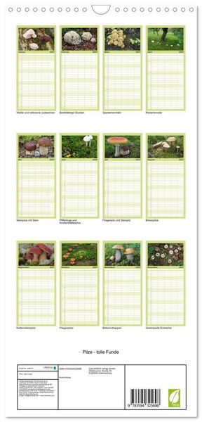 Produktbild: Familienplaner 2027 - Pilze - tolle Funde mit 5 Spalten (Wandkalender, 21 x 45 cm) CALVENDO