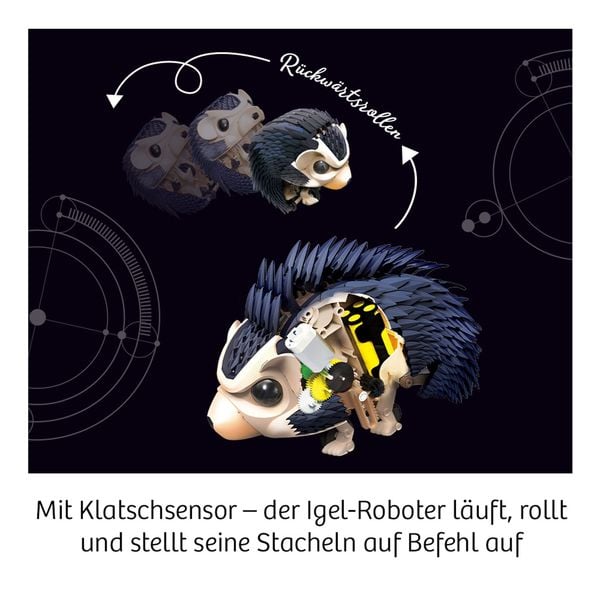 Produktbild: Nuna - Dein Igel-Roboter