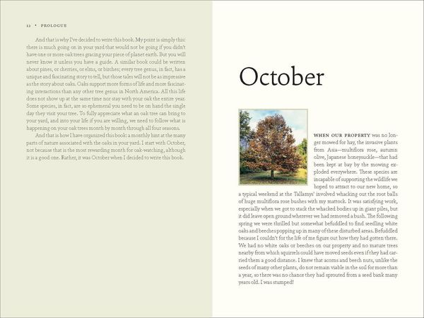 Produktbild: The Nature of Oaks