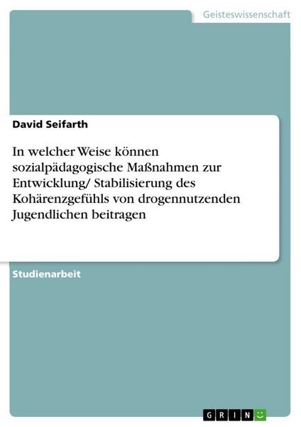 In welcher Weise können sozialpädagogische Maßnahmen zur Entwicklung/ Stabilisierung des Kohärenzgefühls von drogennutzenden Jugendlichen beitragen,