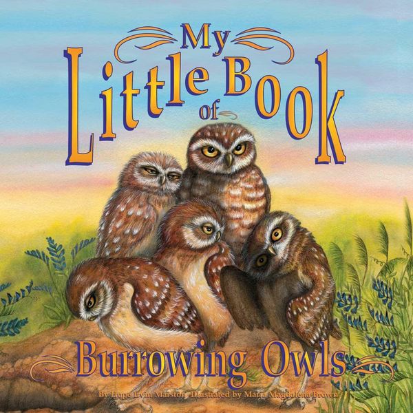 Produktbild: My Little Book of Burrowing Owls (My Little Book Of...)