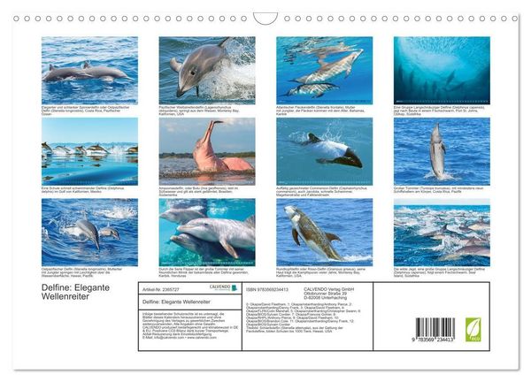 Produktbild: Delfine: Elegante Wellenreiter (Wandkalender 2027 DIN A3 quer), CALVENDO Monatskalender
