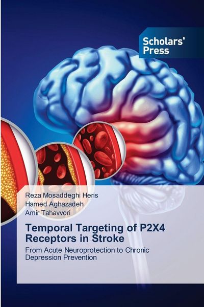 Produktbild: Temporal Targeting of P2X4 Receptors in Stroke