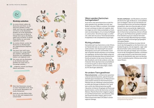 Produktbild: Zwergkaninchen