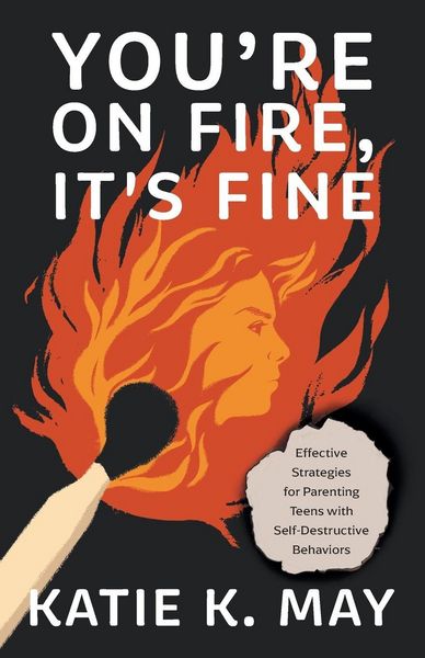 Produktbild: You're on Fire, It's Fine