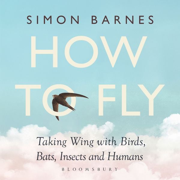Produktbild: How to Fly