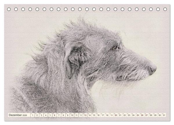 Produktbild: Windhunde 2026 (Tischkalender 2026 DIN A5 quer), CALVENDO Monatskalender