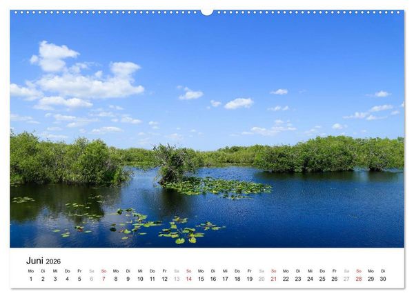 Produktbild: Unter der Sonne Floridas (Wandkalender 2026 DIN A2 quer), CALVENDO Monatskalender