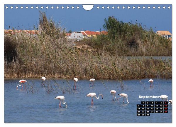 Produktbild: Costa Blanca - Sonne, Strand und mehr (Wandkalender 2026 DIN A4 quer), CALVENDO Monatskalender