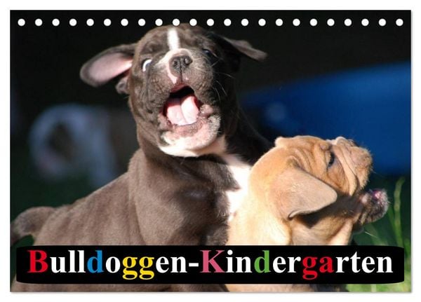 Bulldoggen-Kindergarten (Tischkalender 2026 DIN A5 quer), CALVENDO Monatskalender